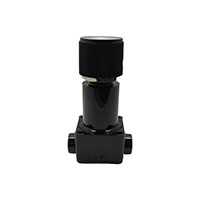 RA Series Pressure Regulator - 3