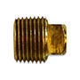 BSQP Series Square Head Brass Plug
